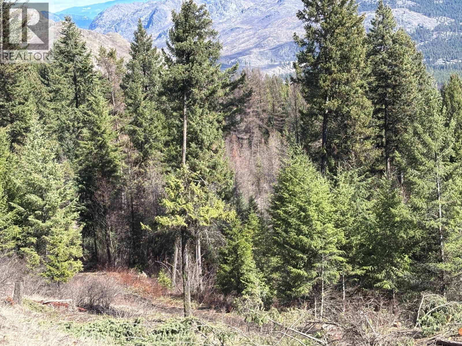 Lot 5 Hulme Creek Road, Rock Creek, British Columbia  V0H 1Y0 - Photo 4 - 10381652