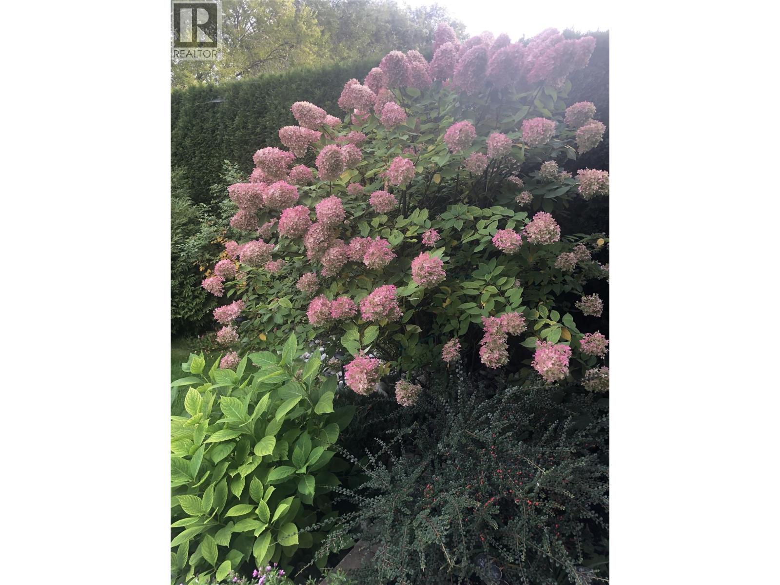 5805 Tern Place Unit# 109, Vernon, British Columbia  V1H 1S8 - Photo 62 - 10380839