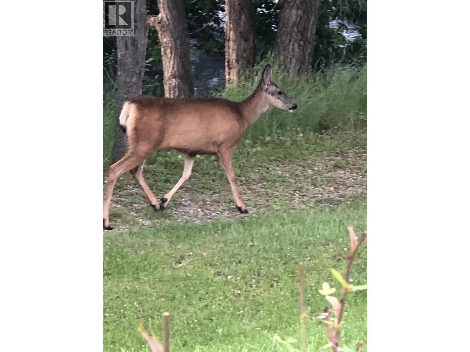 5805 Tern Place Unit# 109, Vernon, British Columbia  V1H 1S8 - Photo 63 - 10380839