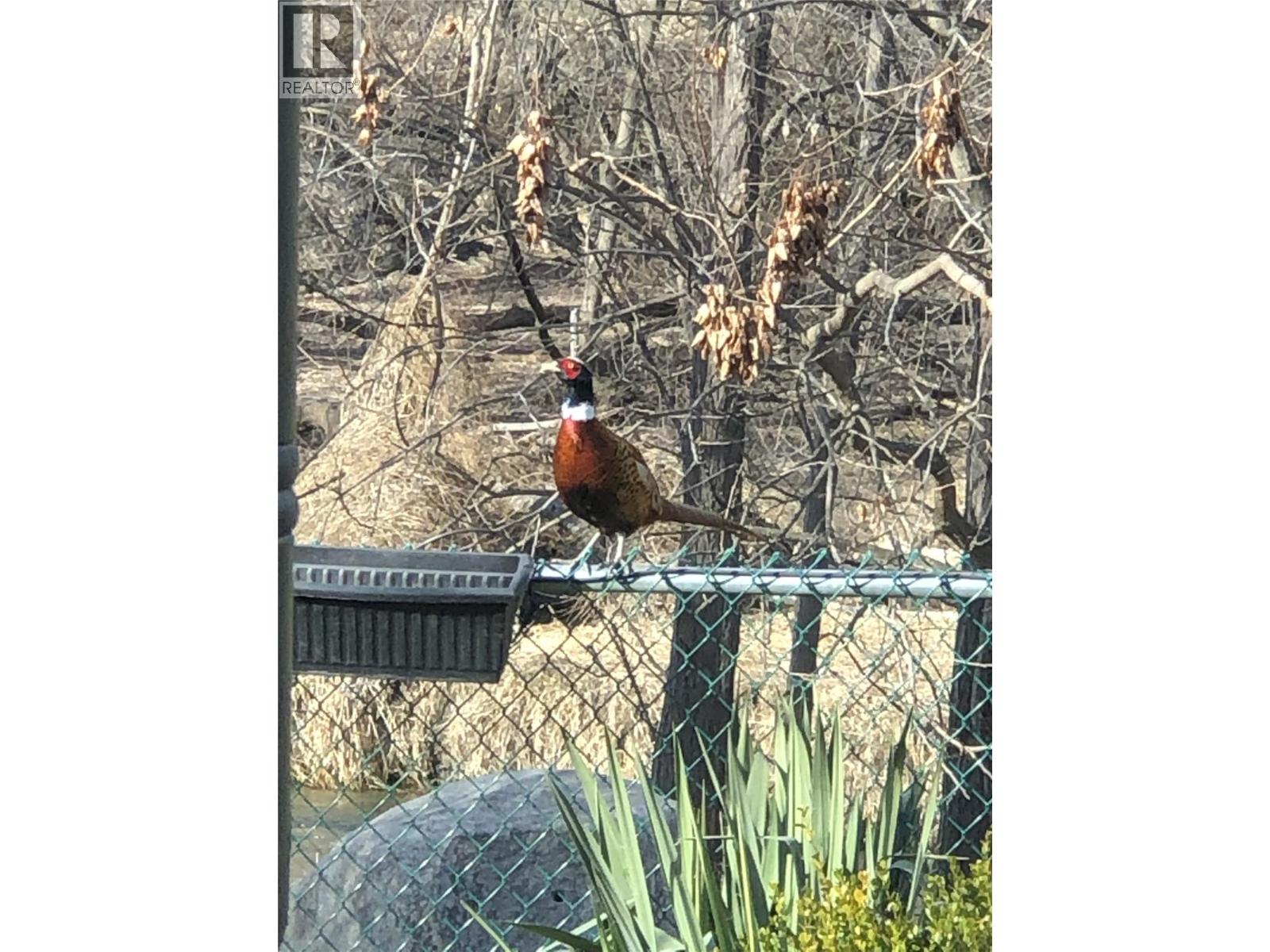 5805 Tern Place Unit# 109, Vernon, British Columbia  V1H 1S8 - Photo 64 - 10380839