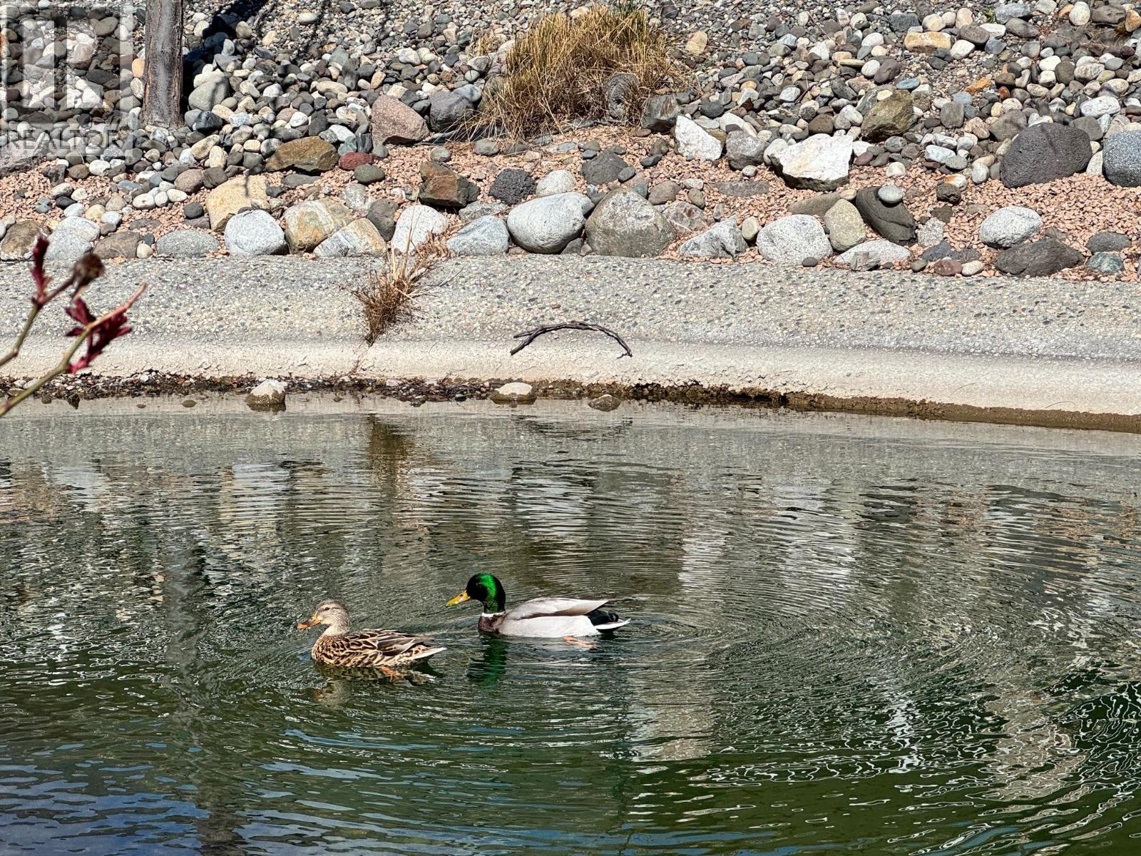 2330 Butt Road Unit# 144, Westbank, British Columbia  V4T 2L3 - Photo 18 - 10380070