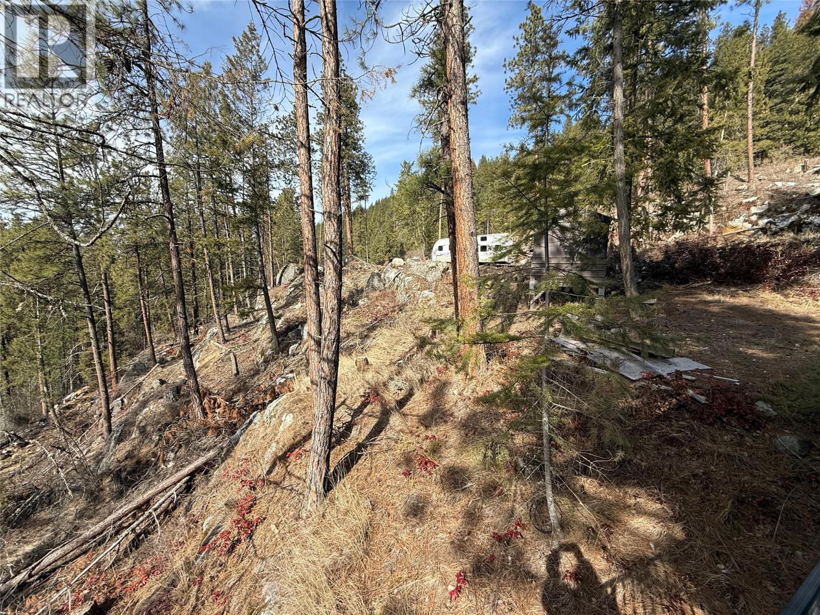 9779 3a Highway, Kuskanook, British Columbia  V0B 1A1 - Photo 5 - 10381697