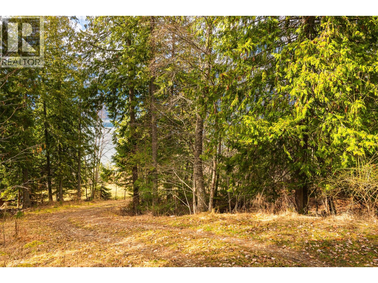 13625 & 13631 Mountain Shores Road, Boswell, British Columbia  V0B 1A0 - Photo 19 - 10381383