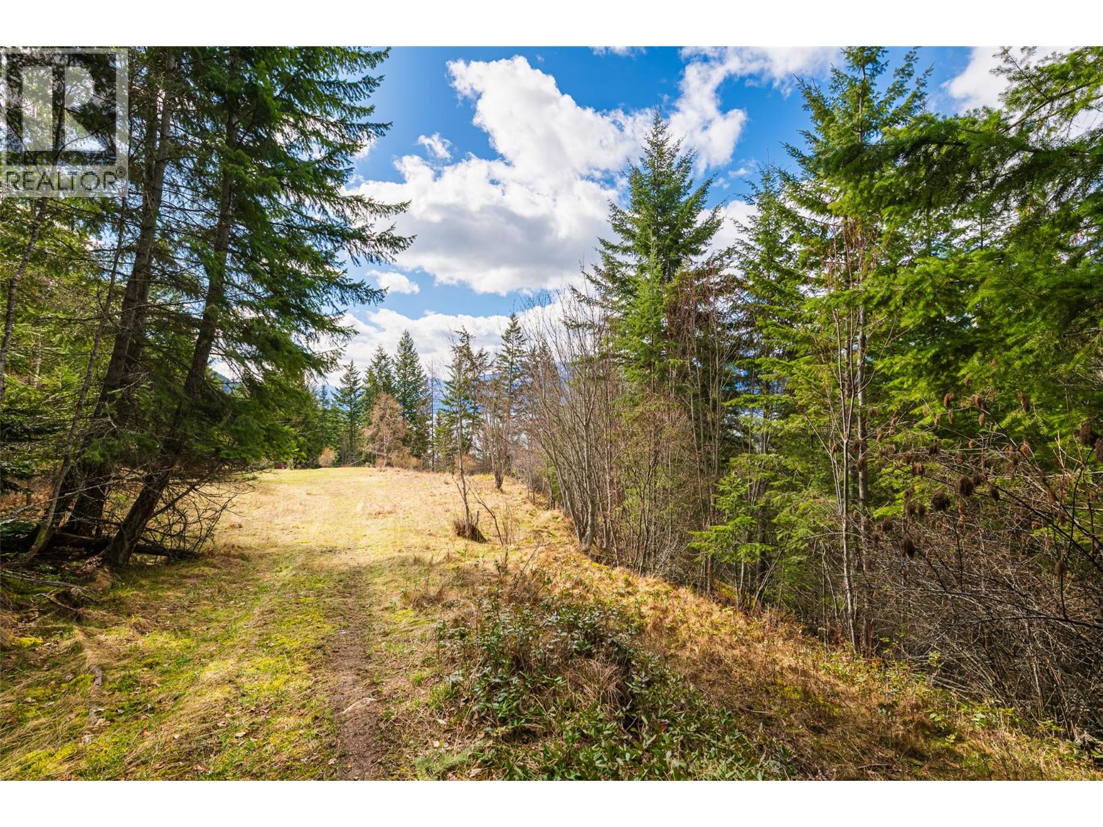 13625 & 13631 Mountain Shores Road, Boswell, British Columbia  V0B 1A0 - Photo 23 - 10381383