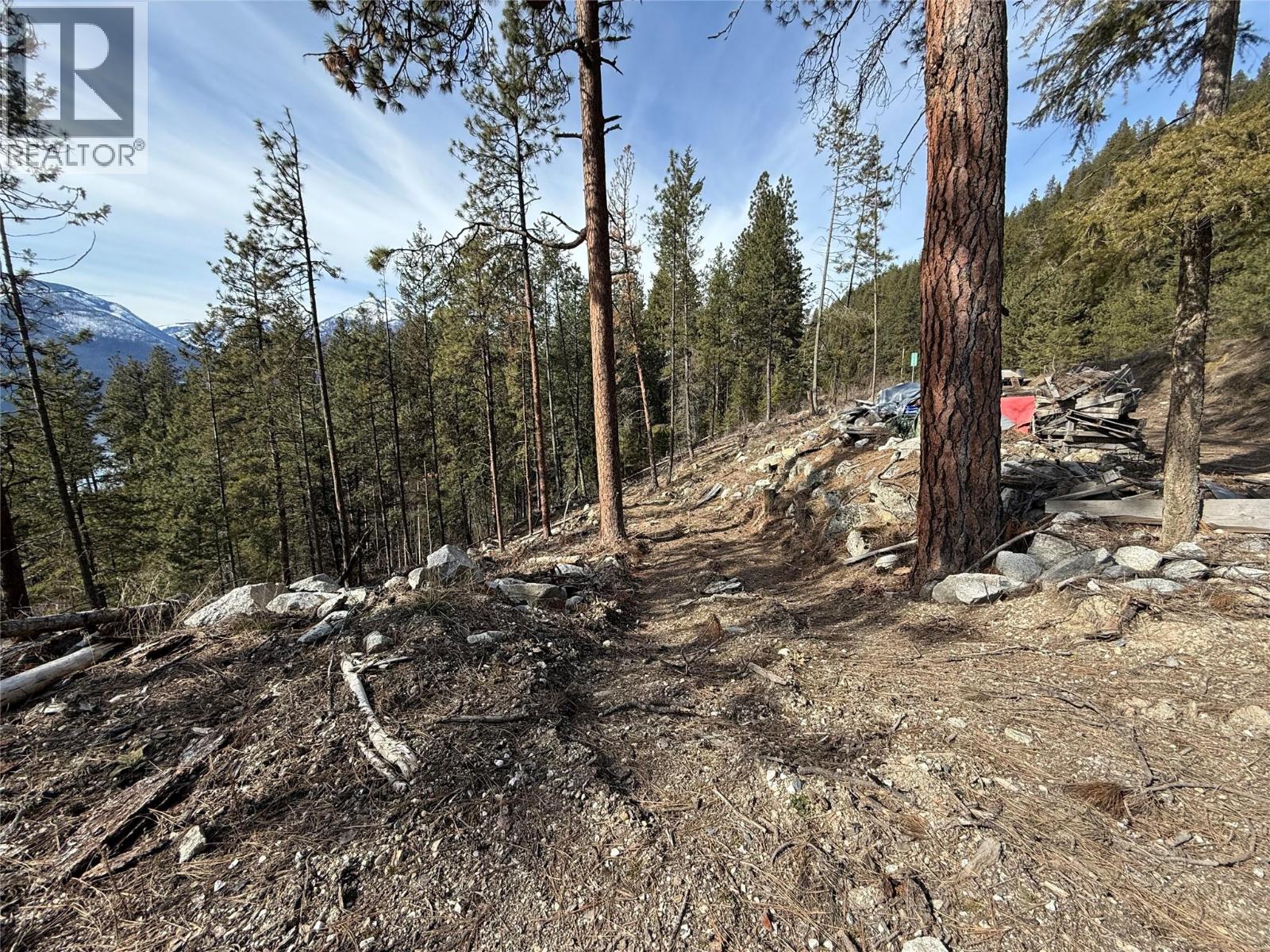 9779 3a Highway Unit# B, Kuskanook, British Columbia  V0B 1A1 - Photo 2 - 10381710