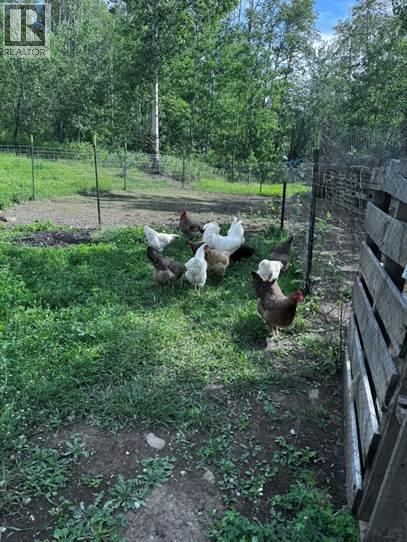 6128 Kurjata Road, Chetwynd, British Columbia  V0C 1J0 - Photo 78 - 10381497