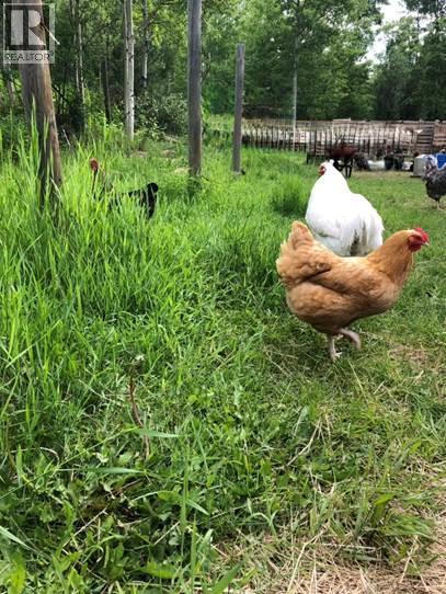 6128 Kurjata Road, Chetwynd, British Columbia  V0C 1J0 - Photo 80 - 10381497