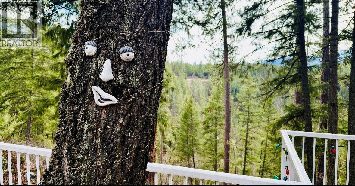 7743 Mcrae Road, Christina Lake, British Columbia  V0H 1E0 - Photo 14 - 10381785