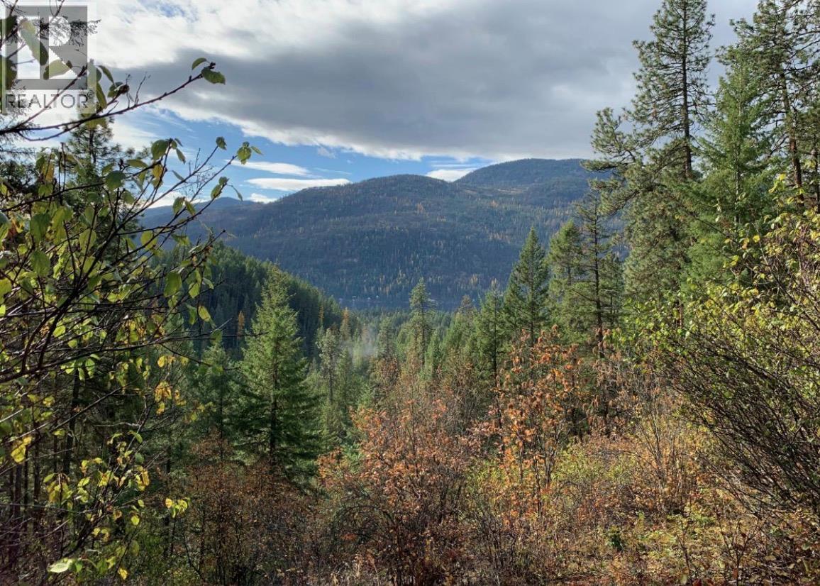 7743 Mcrae Road, Christina Lake, British Columbia  V0H 1E0 - Photo 47 - 10381785