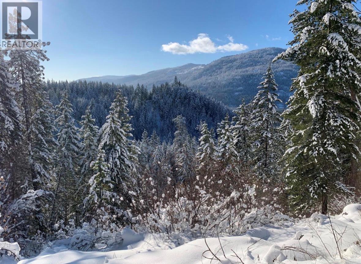 7743 Mcrae Road, Christina Lake, British Columbia  V0H 1E0 - Photo 48 - 10381785