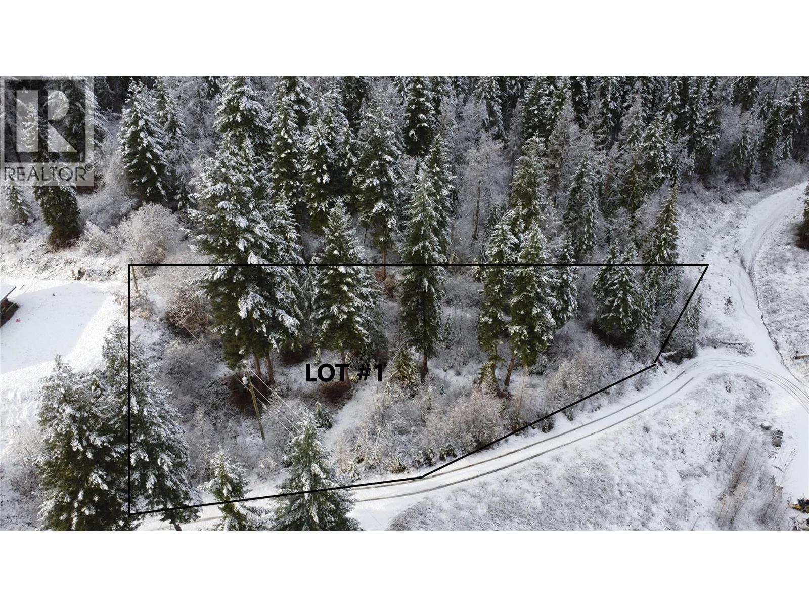 2680 Cedar Ridge Street Unit# Proposed Phase 2 Lot# 1 & 2, Lumby, British Columbia  V0E 2G5 - Photo 6 - 10379910