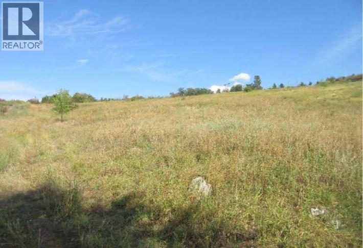 8017 Greenhow Road, Vernon, British Columbia  V1B 3S2 - Photo 1 - 10381555