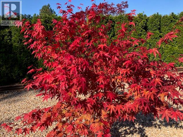 9510 Highway 97n Unit# 5, Vernon, British Columbia  V1H 1R8 - Photo 34 - 10381362