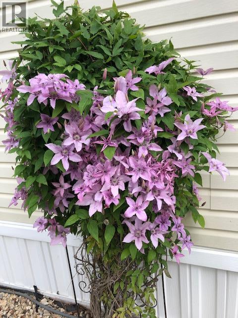 9510 Highway 97n Unit# 5, Vernon, British Columbia  V1H 1R8 - Photo 35 - 10381362