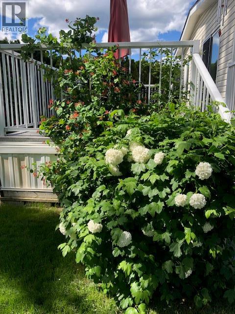 9510 Highway 97n Unit# 5, Vernon, British Columbia  V1H 1R8 - Photo 40 - 10381362