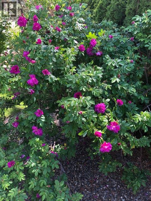 9510 Highway 97n Unit# 5, Vernon, British Columbia  V1H 1R8 - Photo 43 - 10381362