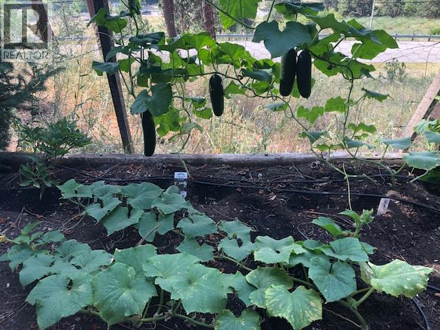 9510 Highway 97n Unit# 5, Vernon, British Columbia  V1H 1R8 - Photo 44 - 10381362