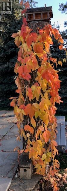 9510 Highway 97n Unit# 5, Vernon, British Columbia  V1H 1R8 - Photo 46 - 10381362