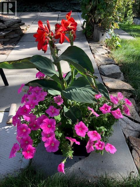 9510 Highway 97n Unit# 5, Vernon, British Columbia  V1H 1R8 - Photo 49 - 10381362