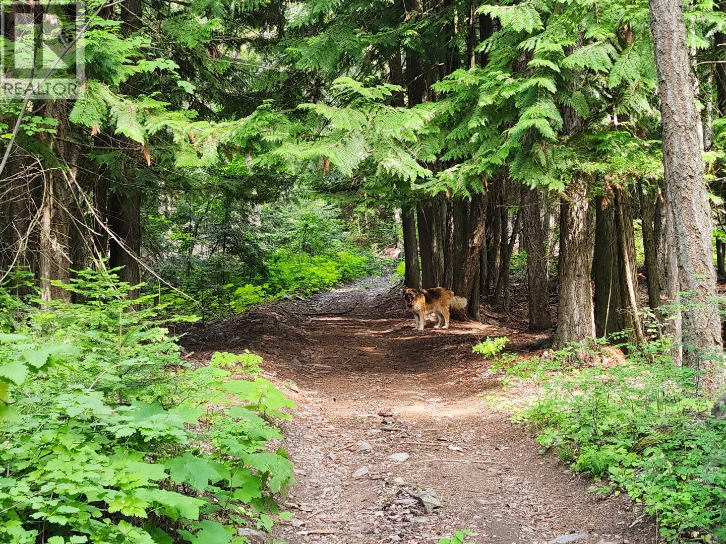 1137 36th Avenue N, Creston, British Columbia  V0B 1G1 - Photo 39 - 10381833