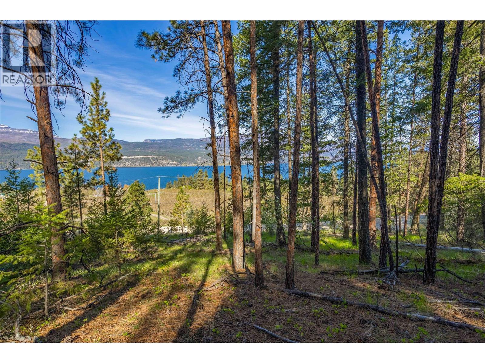 16299 Commonage Road, Lake Country, British Columbia  V4V 1A8 - Photo 28 - 10381822