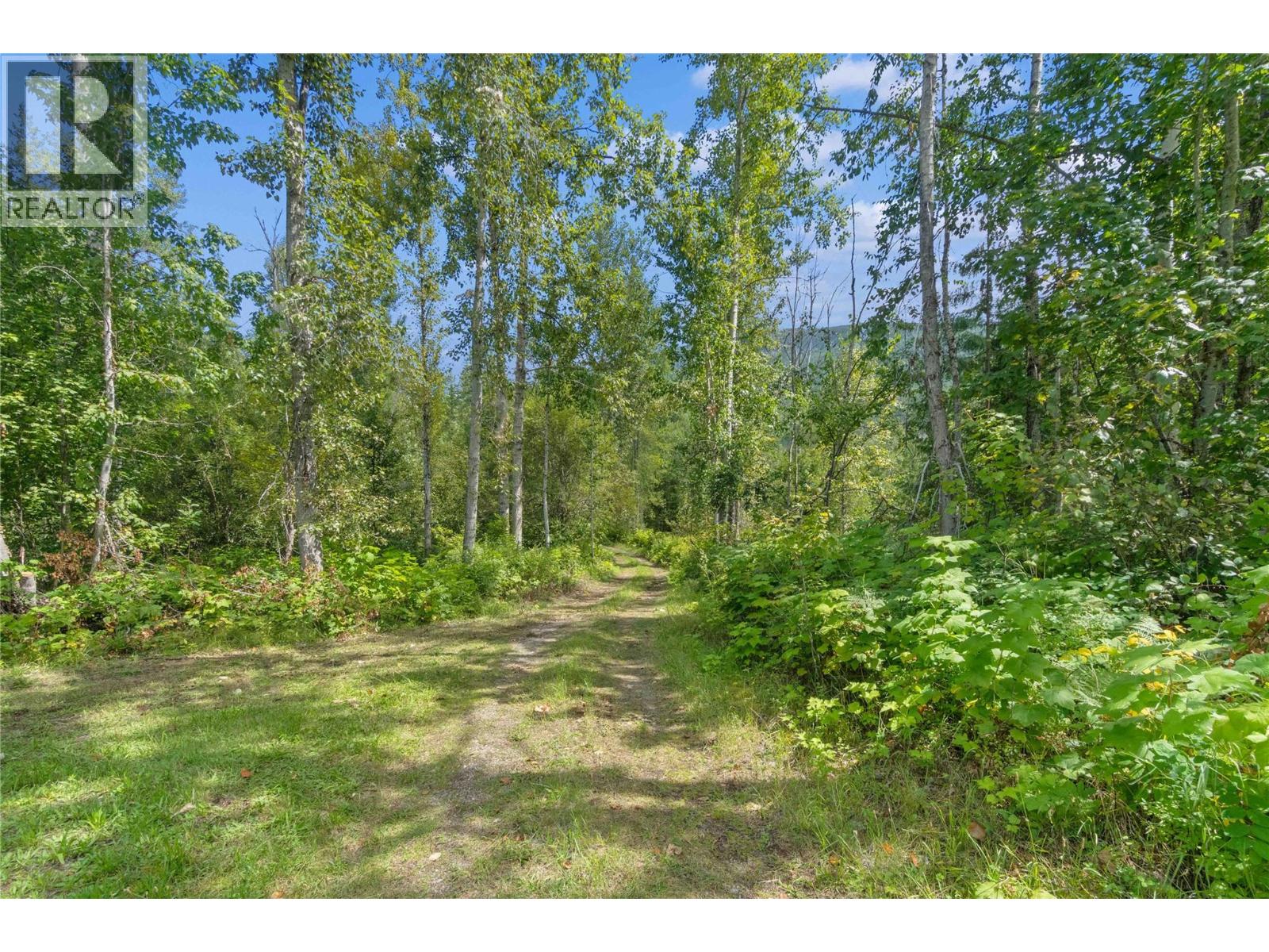 Lot 4 Queest N. Bay, Sicamous, British Columbia  V0E 2V0 - Photo 7 - 10381858