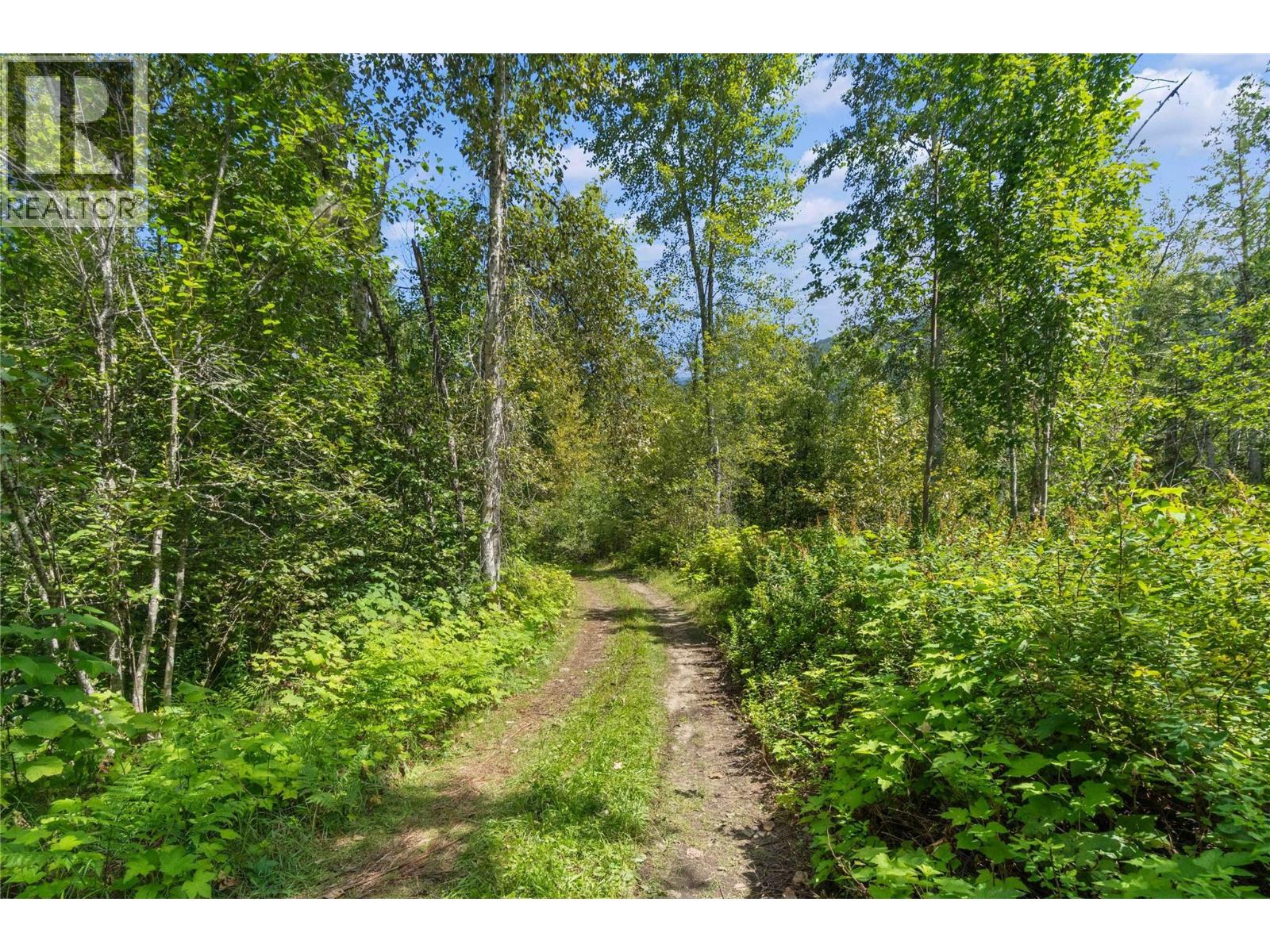 Lot 4 Queest N. Bay, Sicamous, British Columbia  V0E 2V0 - Photo 8 - 10381858