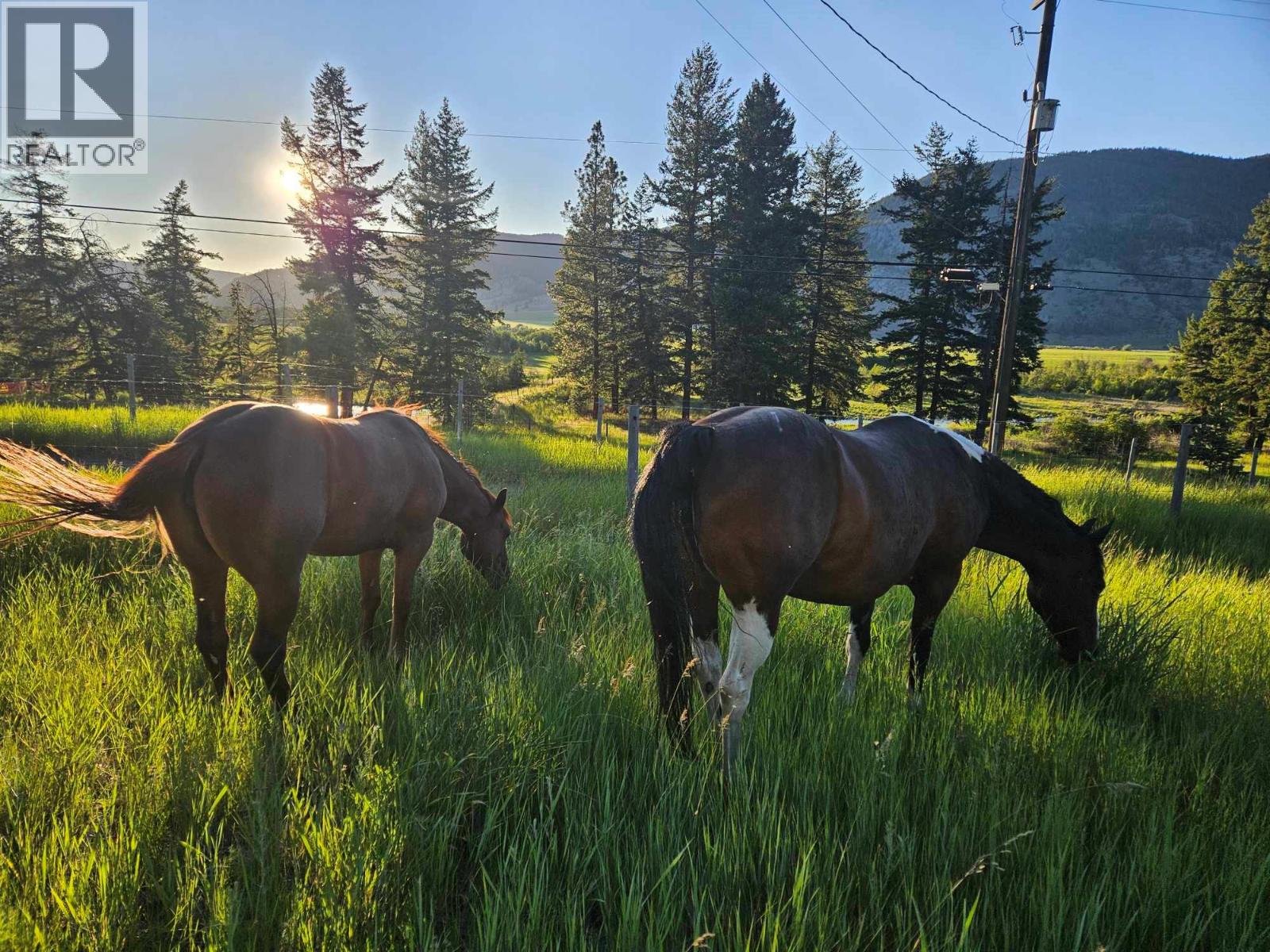 6668 Kamloops Vernon (Hwy 97) Highway, Westwold, British Columbia  V0E 3B1 - Photo 63 - 10381699