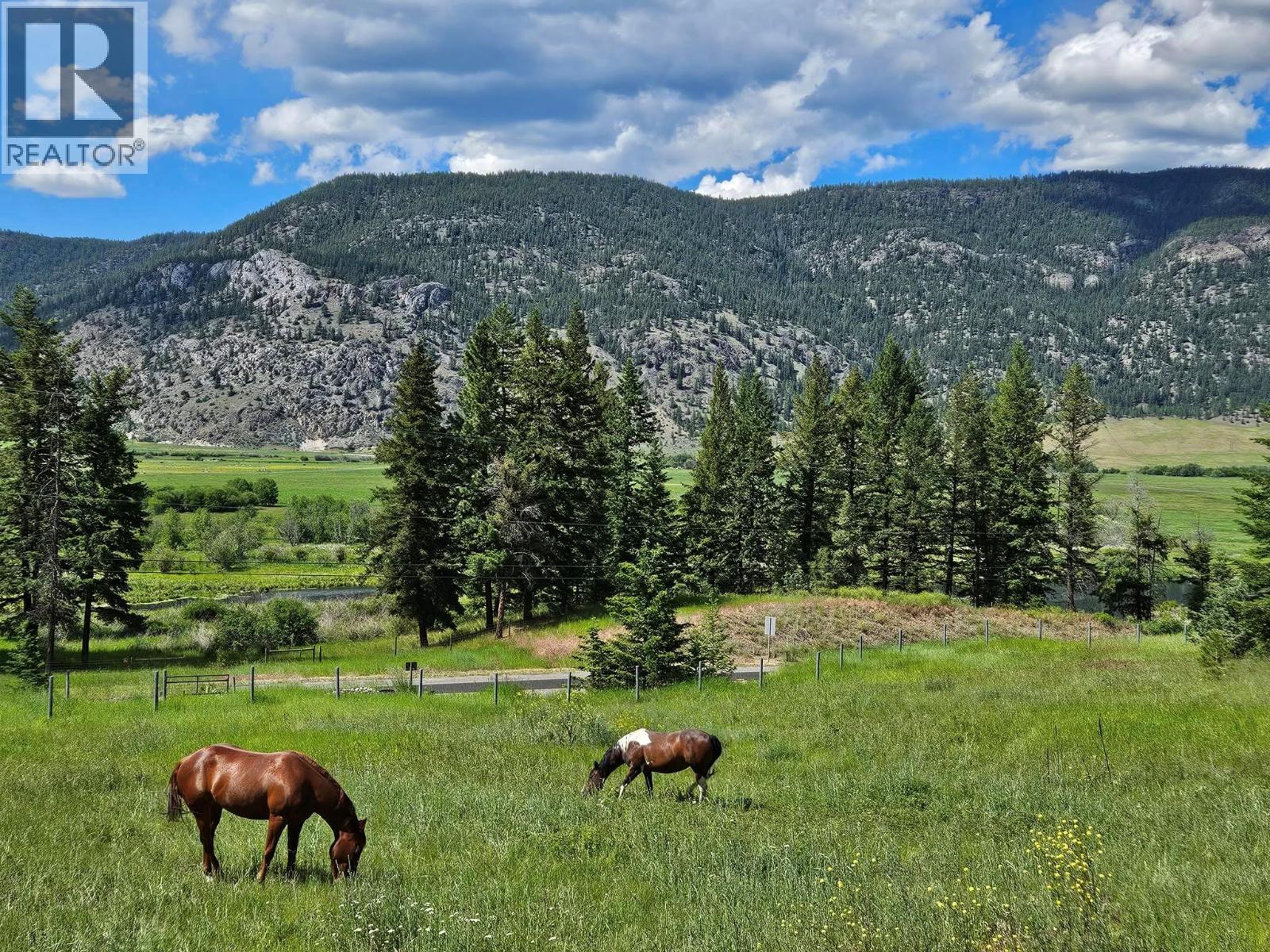 6668 Kamloops Vernon (Hwy 97) Highway, Westwold, British Columbia  V0E 3B1 - Photo 8 - 10381699