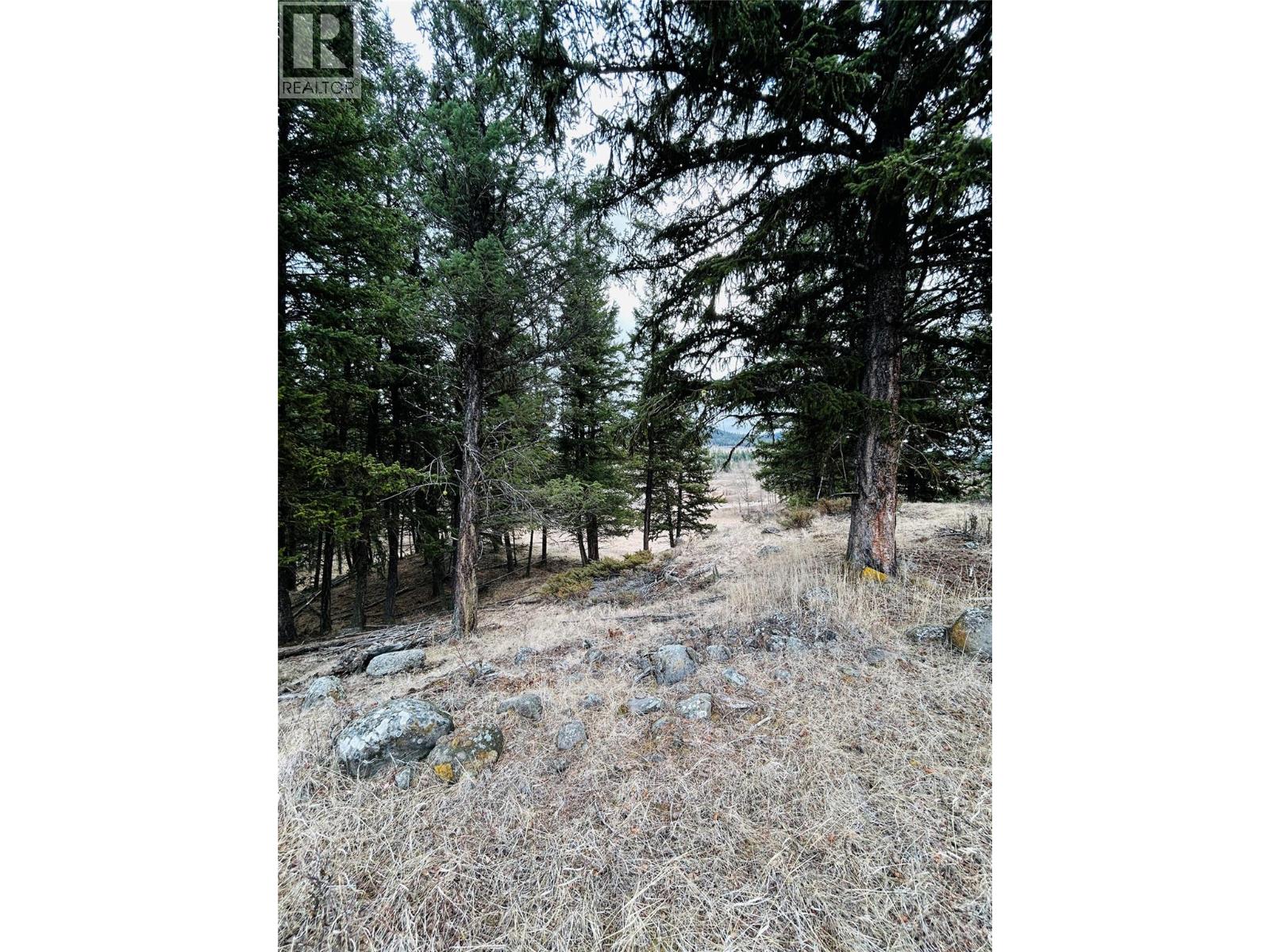 Lot 1 Copper Creek Rd Road, Kamloops, British Columbia  V0K 2J0 - Photo 31 - 10381867