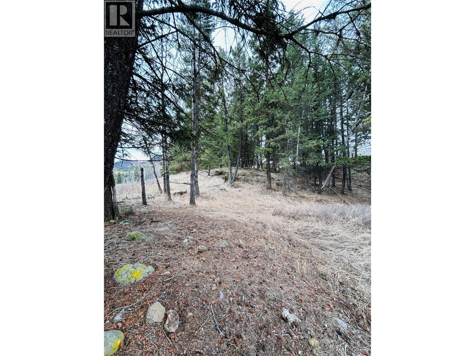 Lot 1 Copper Creek Rd Road, Kamloops, British Columbia  V0K 2J0 - Photo 36 - 10381867