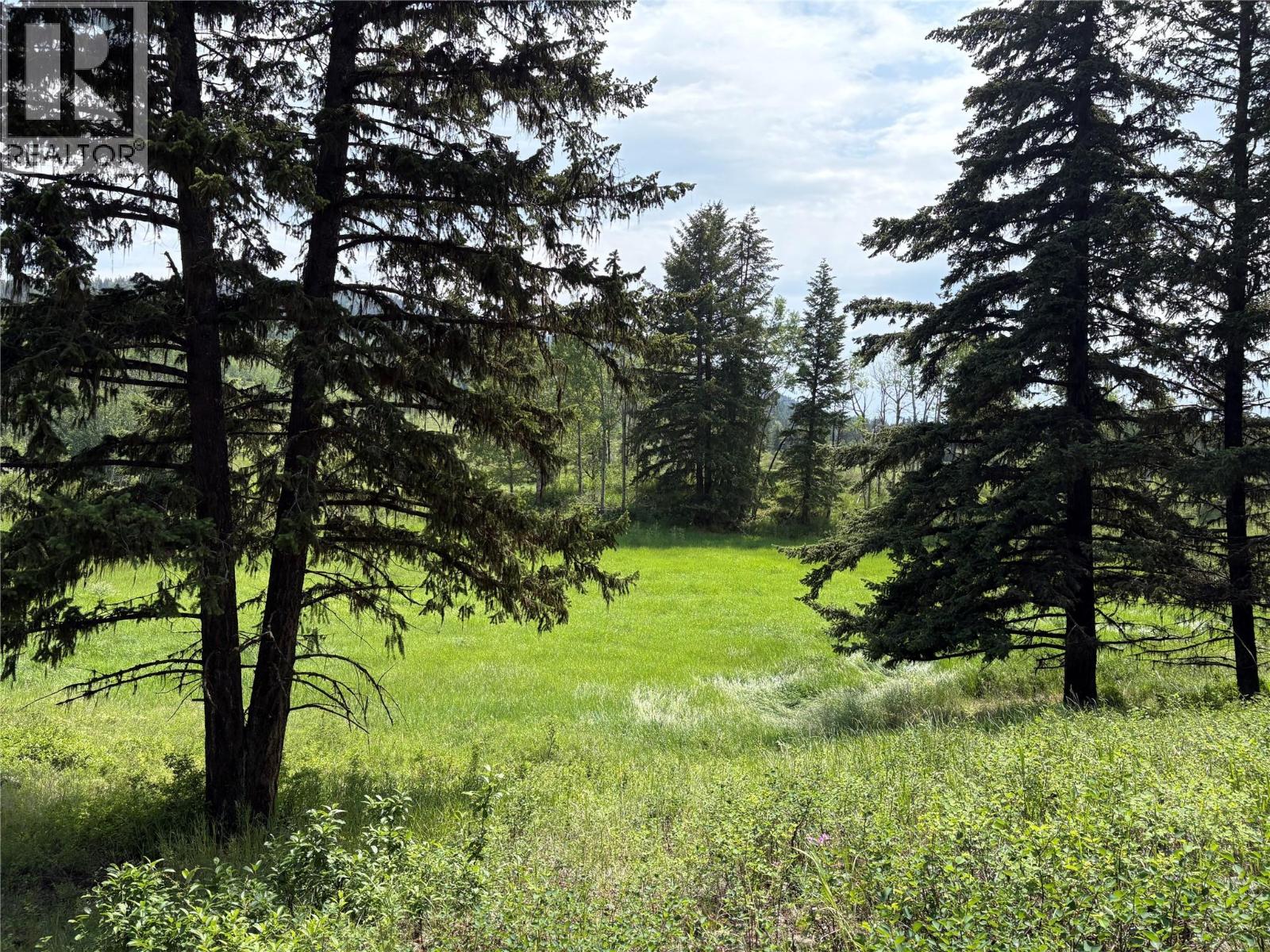 Lot 1 Copper Creek Rd Road, Kamloops, British Columbia  V0K 2J0 - Photo 5 - 10381867