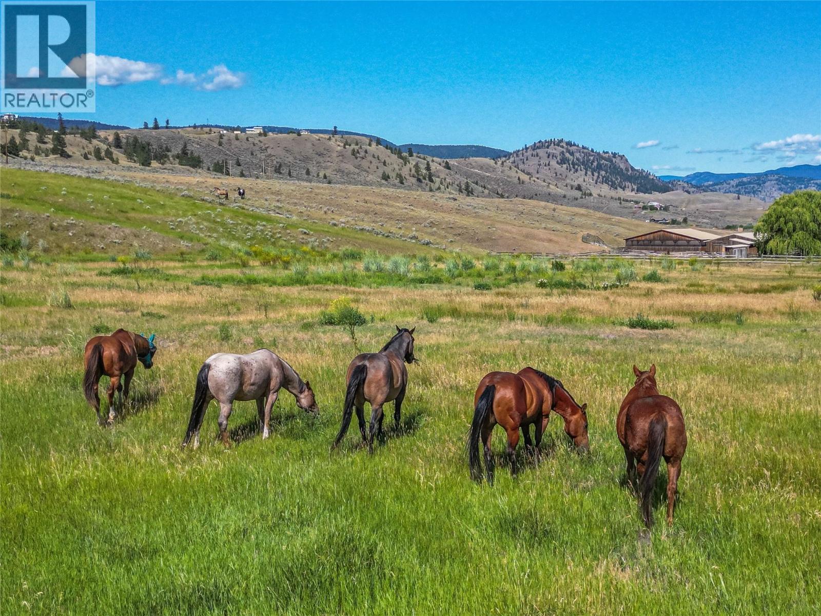 5604 Rodeo Drive, Kamloops, British Columbia  V1S 2A3 - Photo 42 - 10381589