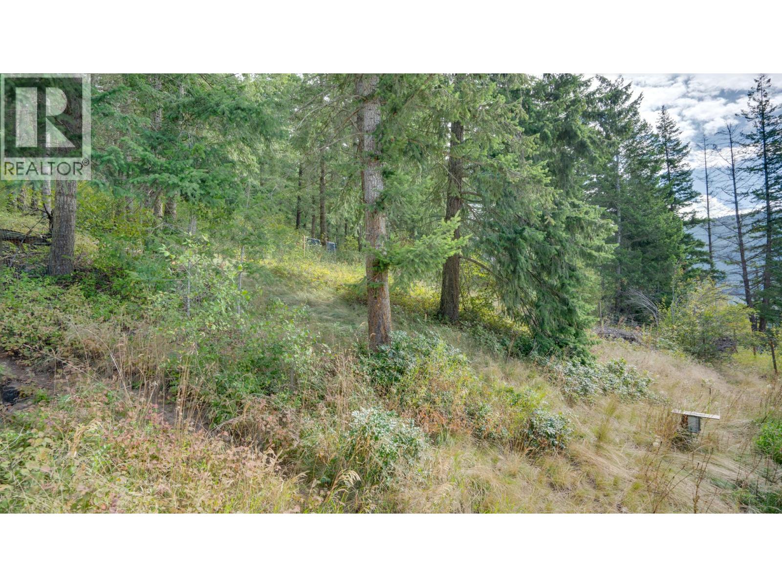 4050 White Lake Road, White Lake, British Columbia  V0E 2W0 - Photo 30 - 10381679