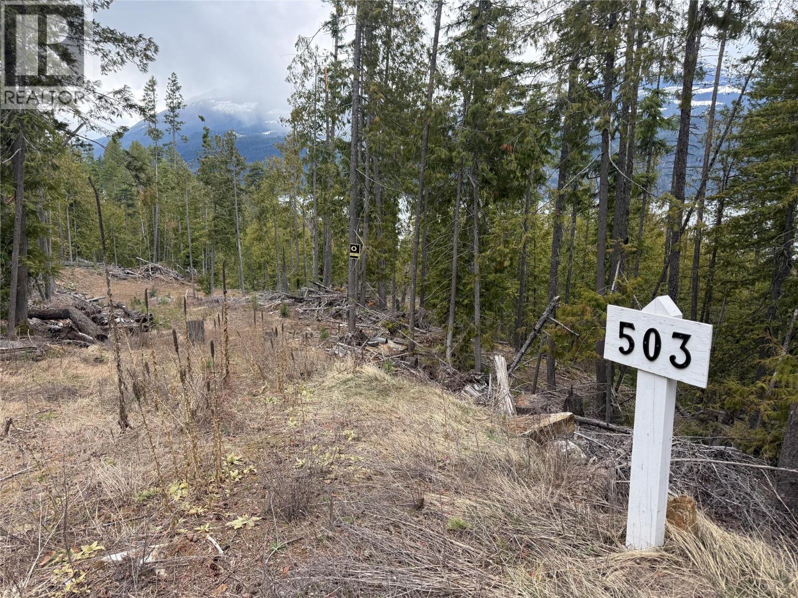 503 Riondel Road, Riondel, British Columbia  V0B 2B0 - Photo 1 - 10381760