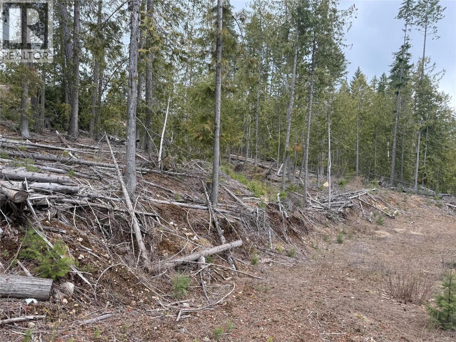 503 Riondel Road, Riondel, British Columbia  V0B 2B0 - Photo 11 - 10381760