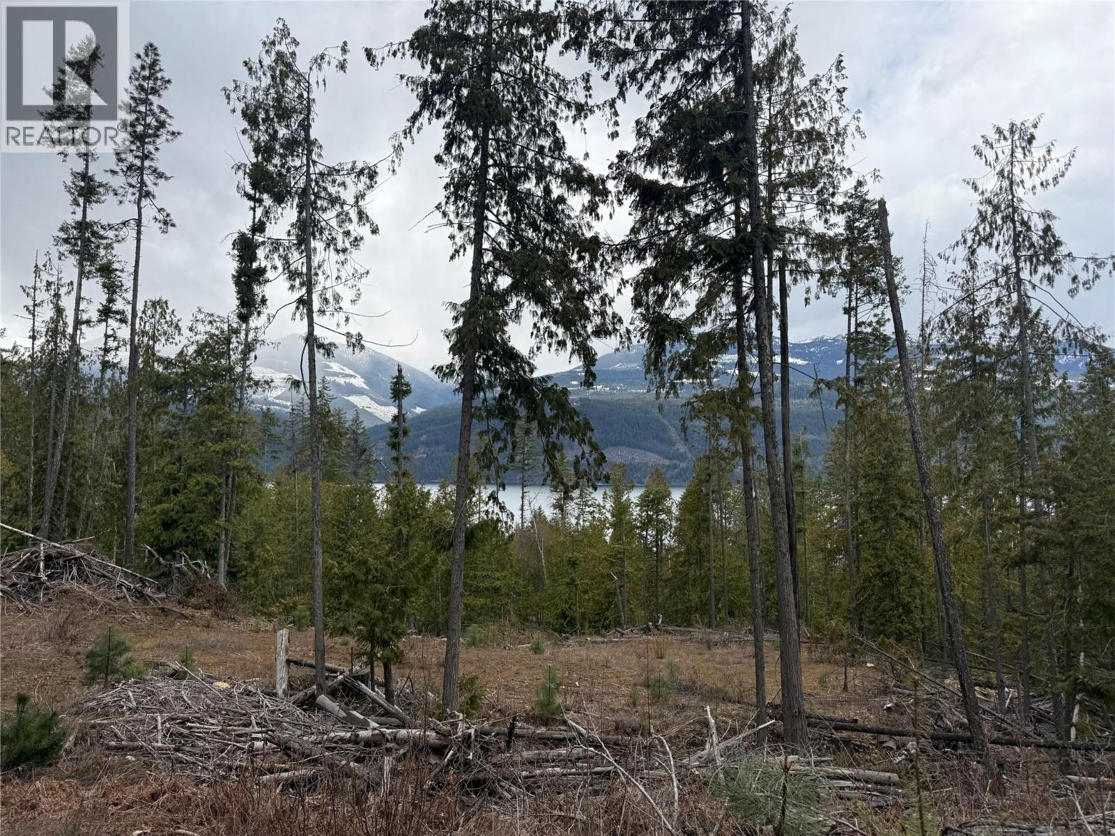 503 Riondel Road, Riondel, British Columbia  V0B 2B0 - Photo 12 - 10381760