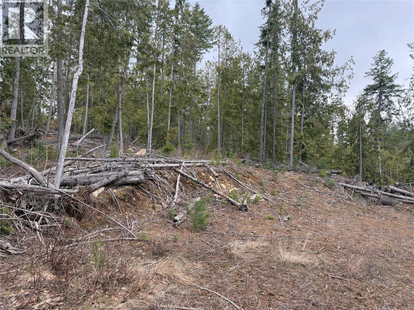 503 Riondel Road, Riondel, British Columbia  V0B 2B0 - Photo 13 - 10381760