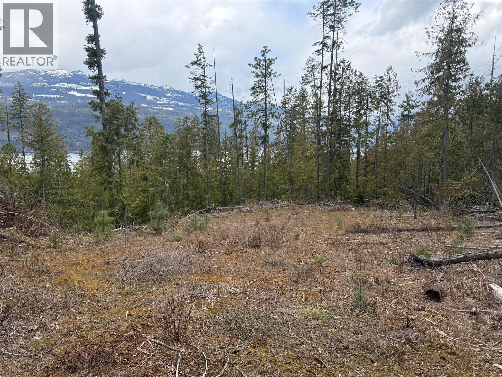 503 Riondel Road, Riondel, British Columbia  V0B 2B0 - Photo 14 - 10381760