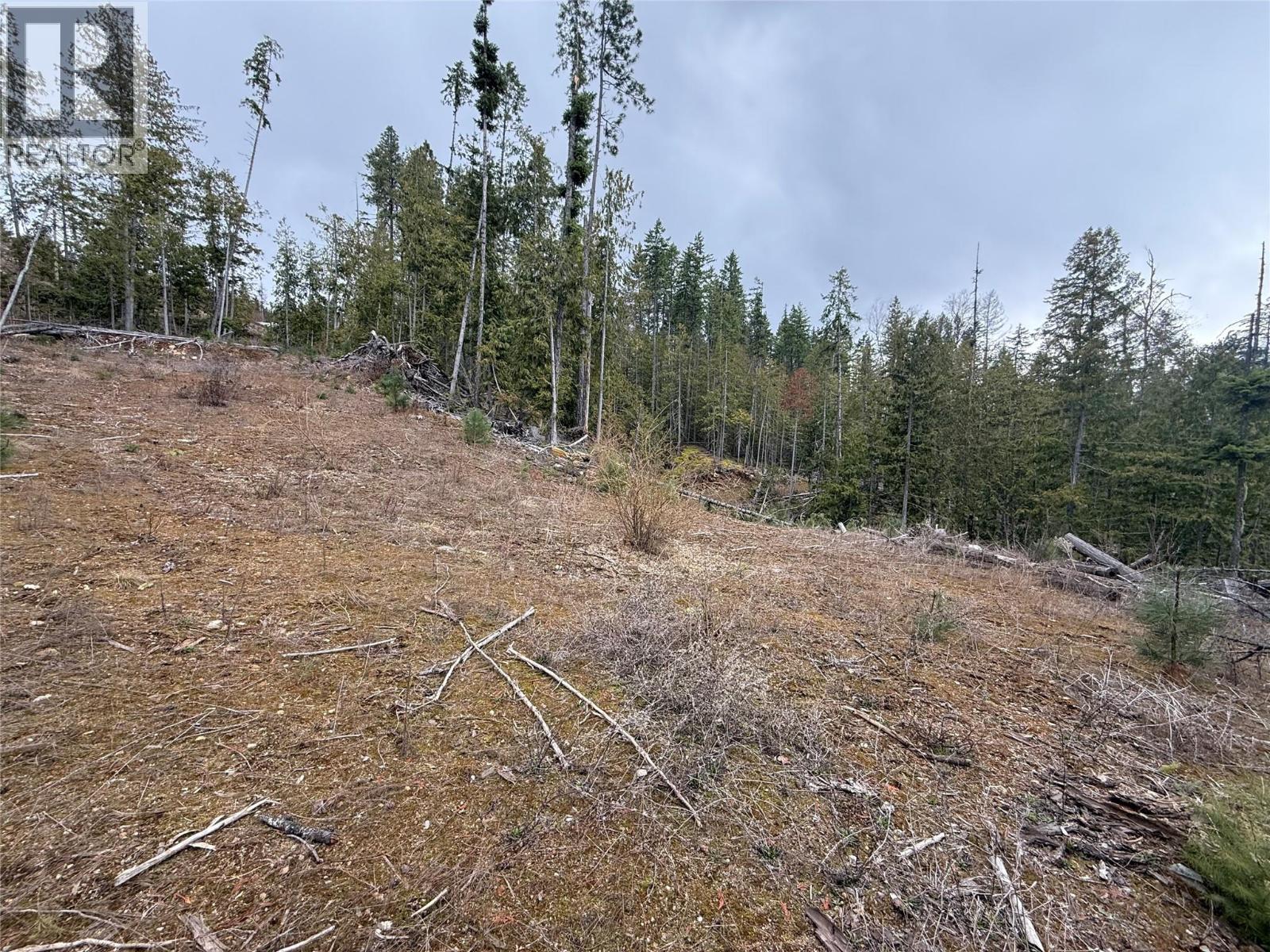 503 Riondel Road, Riondel, British Columbia  V0B 2B0 - Photo 15 - 10381760