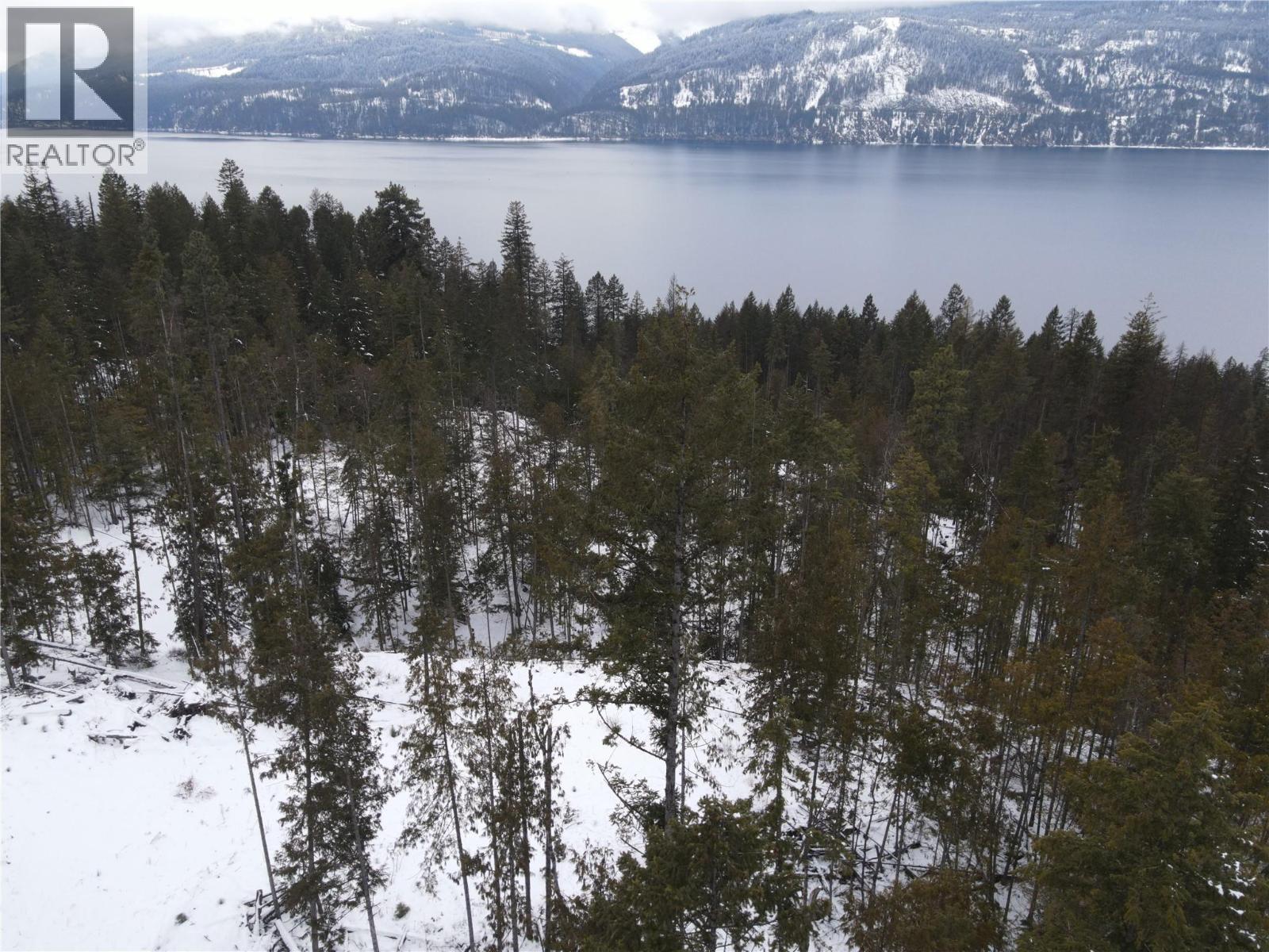 503 Riondel Road, Riondel, British Columbia  V0B 2B0 - Photo 3 - 10381760