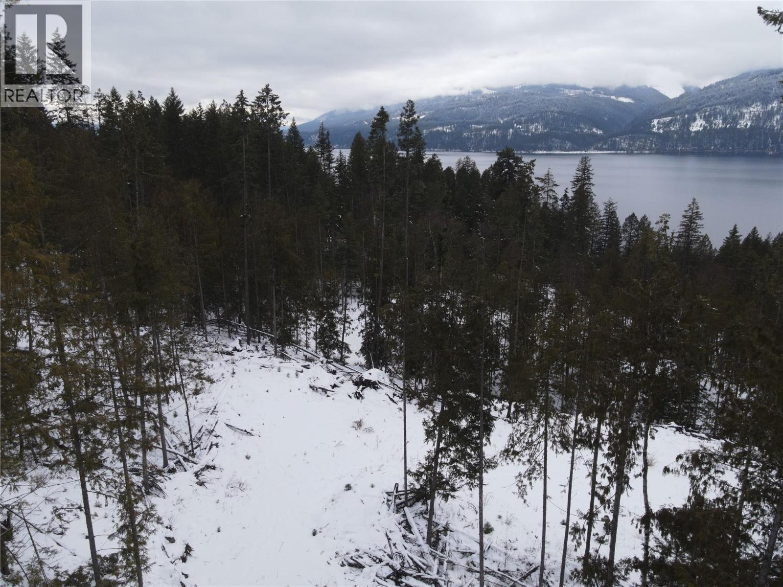 503 Riondel Road, Riondel, British Columbia  V0B 2B0 - Photo 6 - 10381760