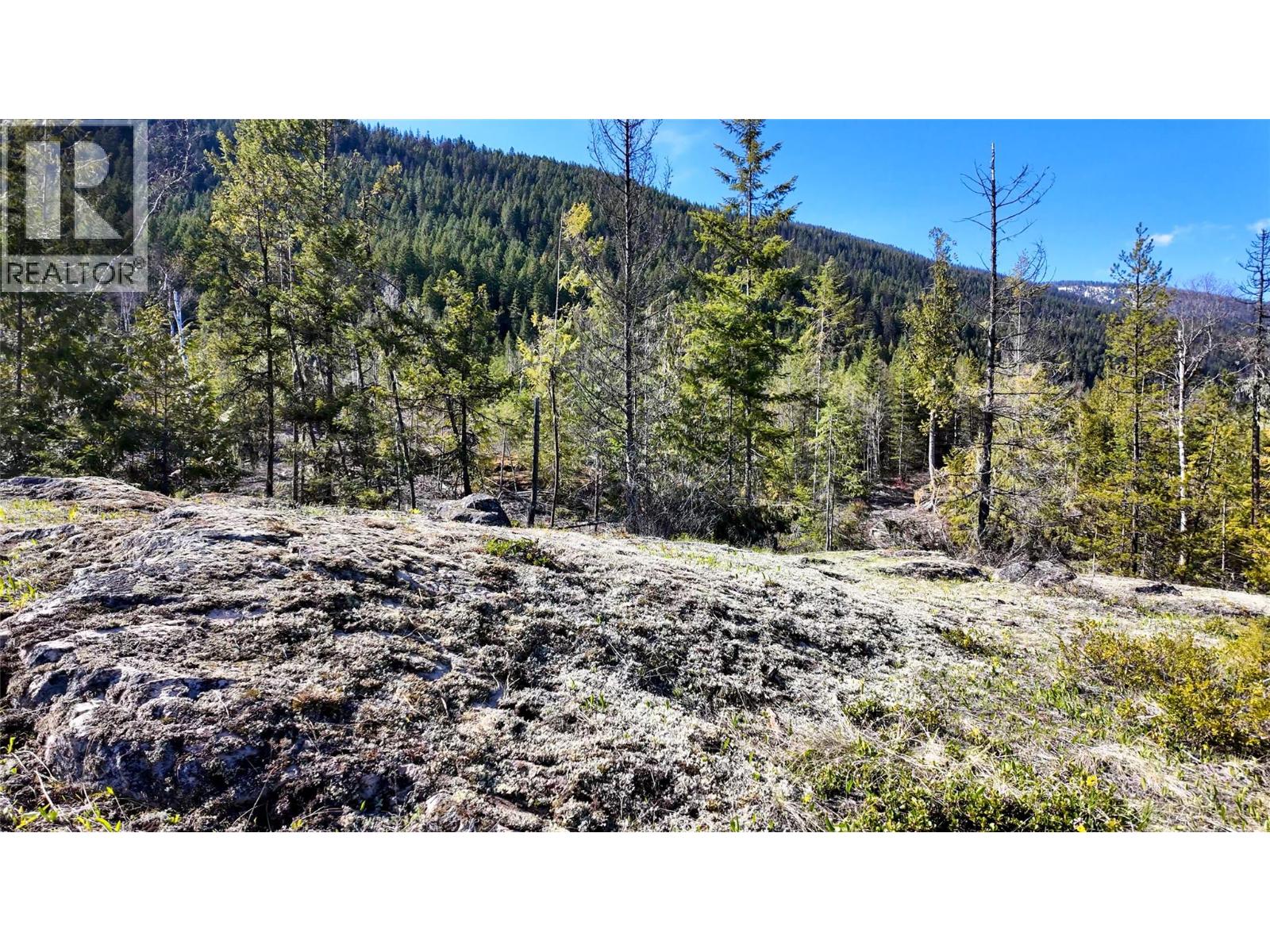 Dl 12488 Mckean Road, Appledale, British Columbia  V0G 2J0 - Photo 18 - 10381857