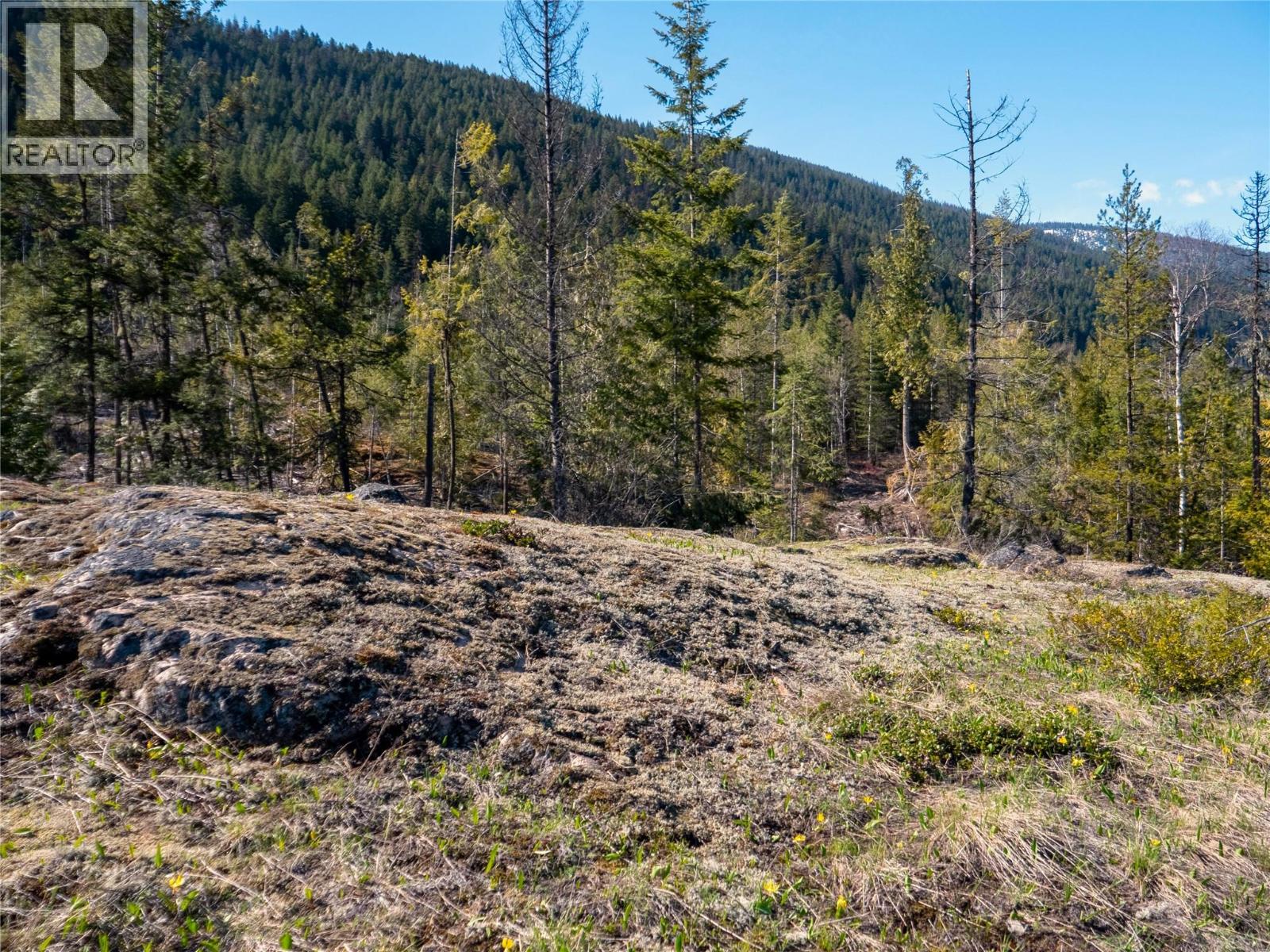 Dl 12488 Mckean Road, Appledale, British Columbia  V0G 2J0 - Photo 23 - 10381857