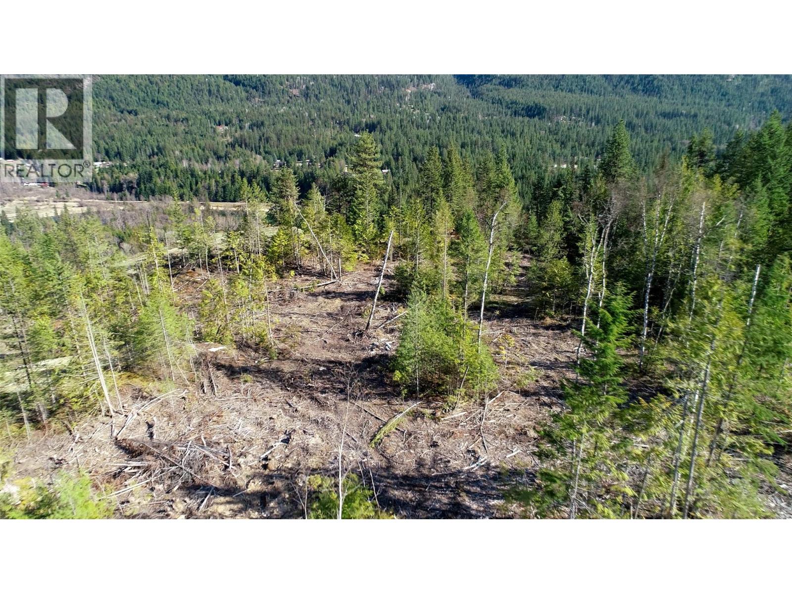 Dl 12488 Mckean Road, Appledale, British Columbia  V0G 2J0 - Photo 32 - 10381857