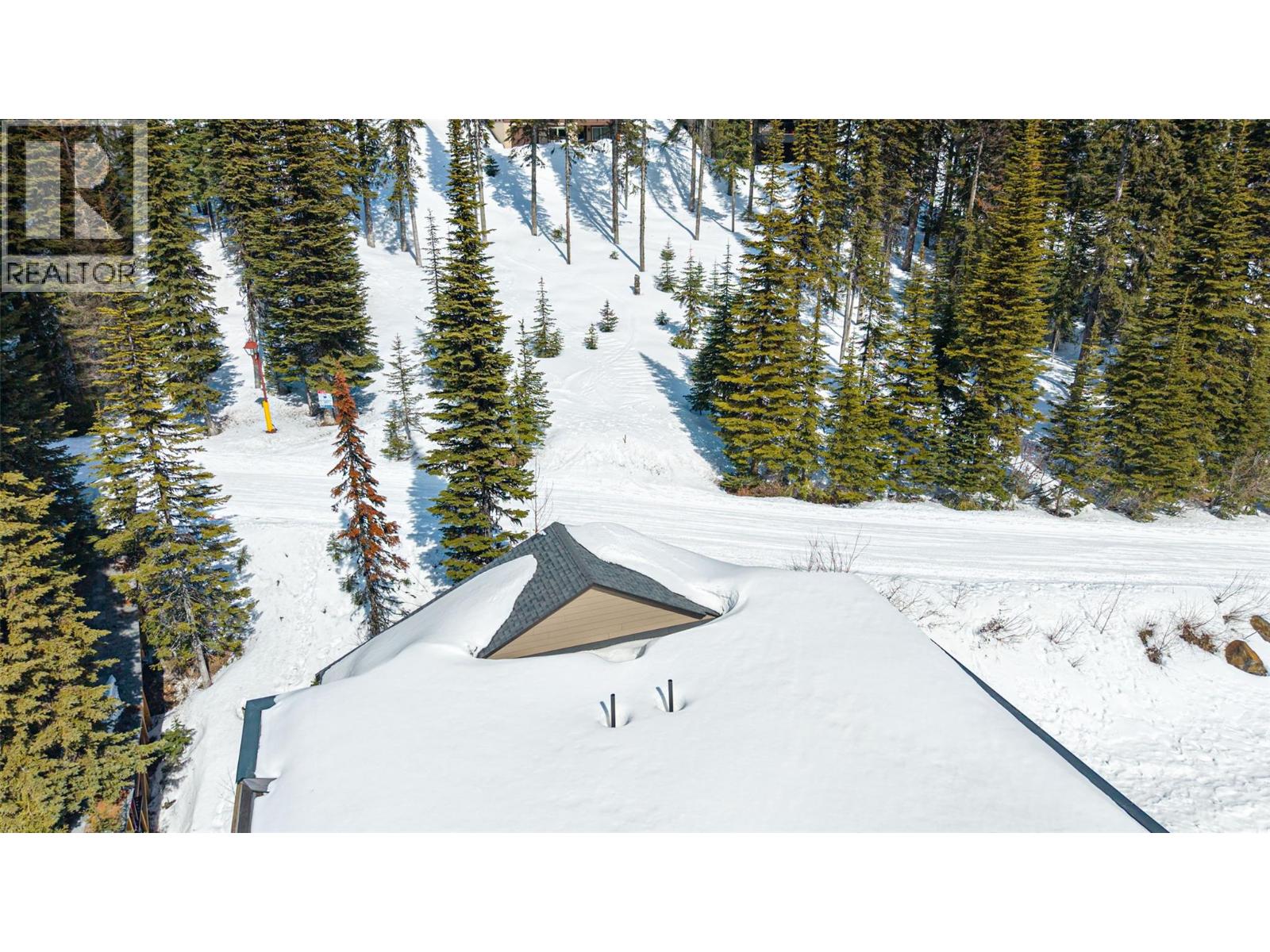 9826 Cathedral Drive, Silver Star, British Columbia  V1B 3M1 - Photo 46 - 10381284