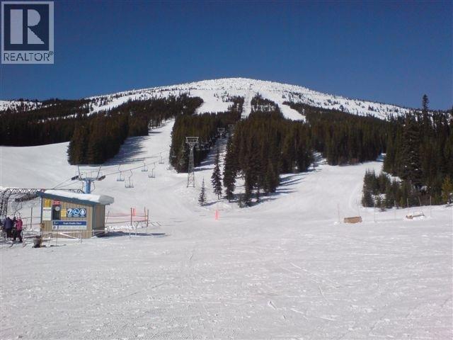 127 Wapiti Creek Road, Oliver, British Columbia  V0H 1T8 - Photo 10 - 10381967