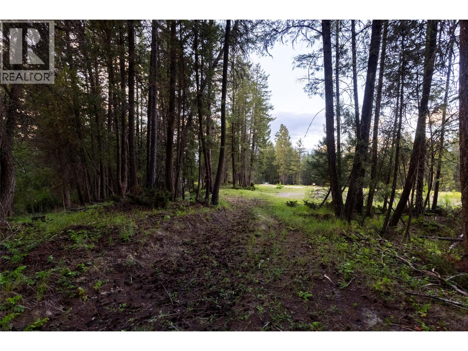 Lot 80 Osprey Landing Court, Wardner, British Columbia  V0B 2J0 - Photo 10 - 10381739