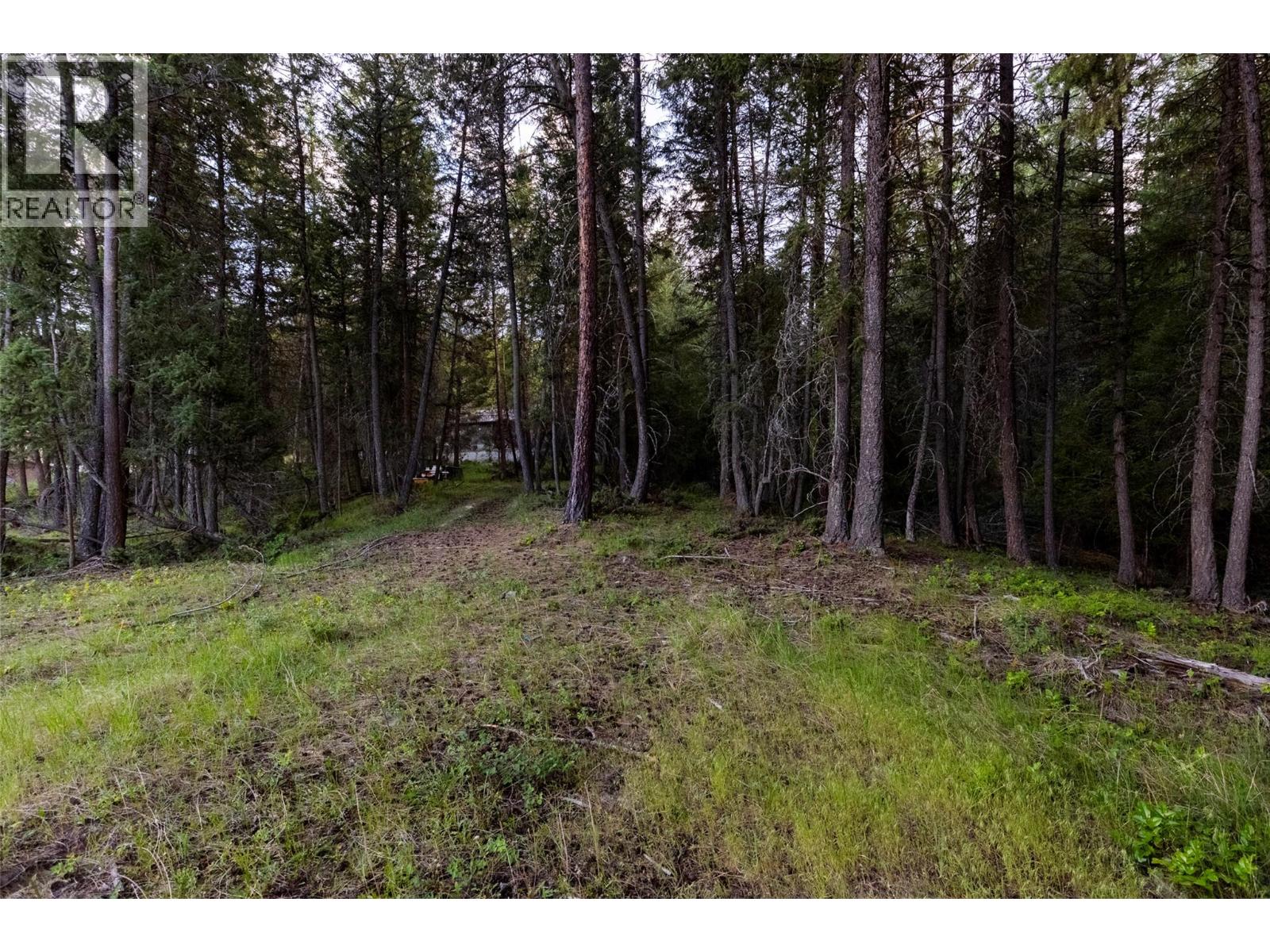 Lot 80 Osprey Landing Court, Wardner, British Columbia  V0B 2J0 - Photo 11 - 10381739