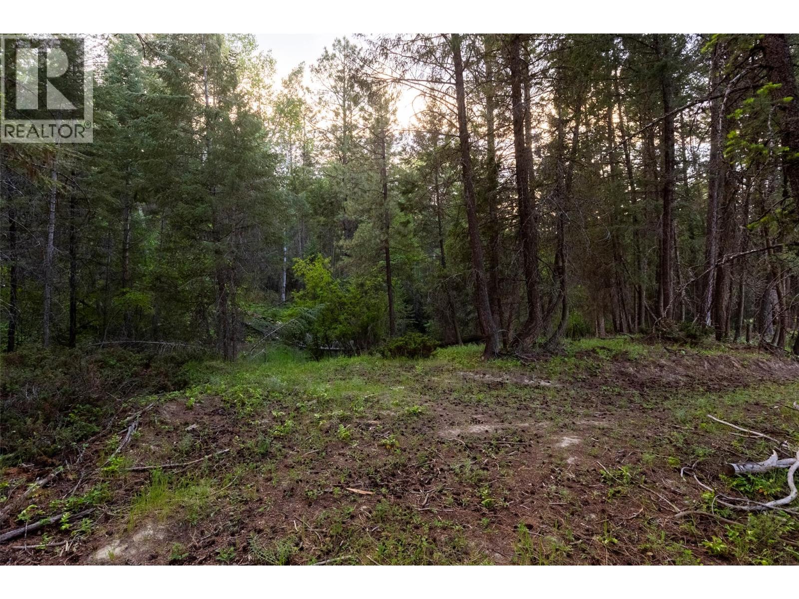 Lot 80 Osprey Landing Court, Wardner, British Columbia  V0B 2J0 - Photo 13 - 10381739